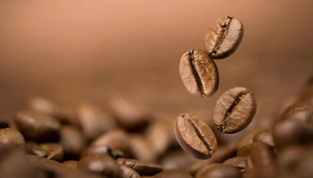Himalayan Coffee Beans